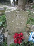 image of grave number 557530